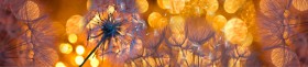 Кухонный фартук Мерцание Одуванчики золотистые 3 серебро в Бийске - bijsk.katalogmebeli.com | фото