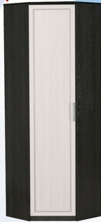 Шкаф для одежды угловой ДЛЯ ГОСТИНОЙ ШОУ-695 Венге/Дуб выбеленный в Бийске - bijsk.katalogmebeli.com | фото